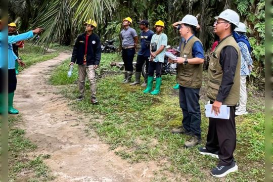 Akademisi: Pengendalian hama terpadu kunci tingkatkan produksi kelapa sawit