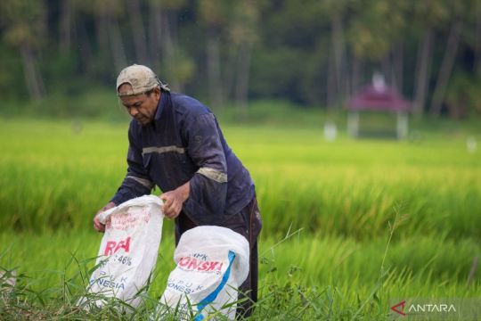 Menumbuhkan harapan petani lewat penurunan HET pupuk bersubsidi