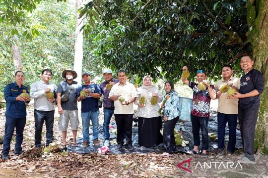Diskominfo Kotim perkuat silaturahim sekaligus promosikan Wisata Durian Jemaras