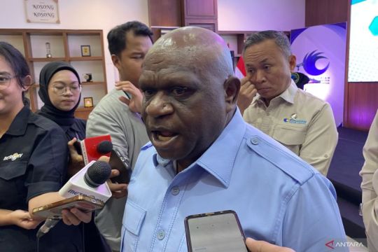 Jangan terlalu khawatir soal pasal penghinaan presiden, kata Natalius Pigai