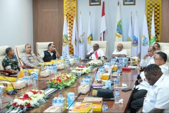 Pemprov Papua Tengah dorong optimalisasi potensi pertanian daerah