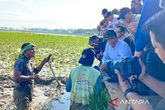 Mentan: Negara gaji petani pulihkan sawah terdampak bencana Sumatera