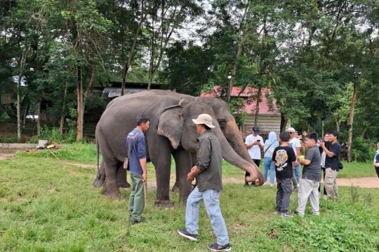 Taman Nasional Way Kambas ditutup sementara untuk objek wisata