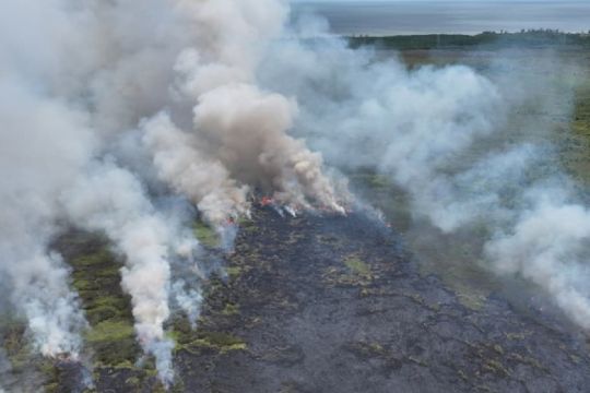 Titik panas mulai bermunculan di Kotim