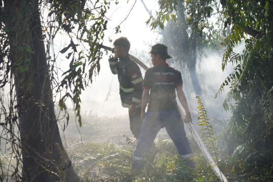 Kebakaran lahan di batas Kota Pontianak
