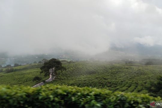 BRIGADE menutup jalur pendakian ke puncak Gunung Dempo