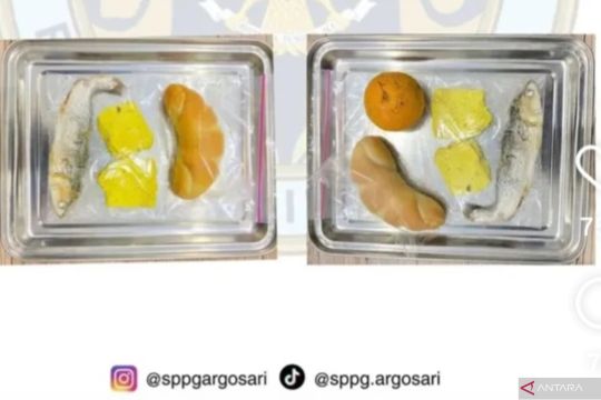 Viral MBG bandeng mentah di Bantul, BGN memastikan ikan presto matang