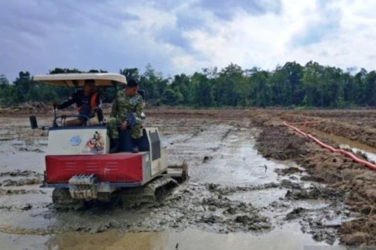 Kutai Timur alokasikan Rp500 juta untuk lindungi sawah