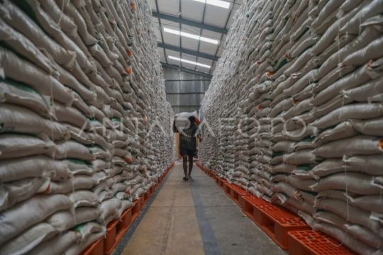 Cadangan beras nasional capai 4,5 juta ton
