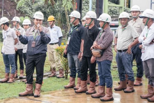 Indonesia harus maksimalkan produktivitas sawit