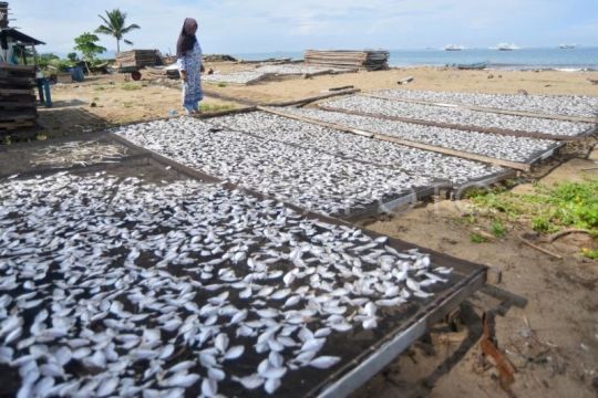 Proyeksi angka konsumsi ikan nasional 2026