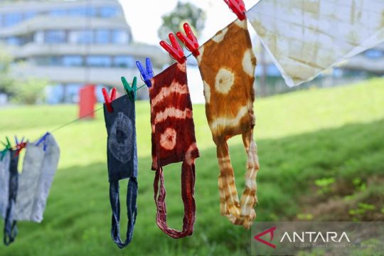 Batik khas IKN berpotensi pengembangan lanjutan