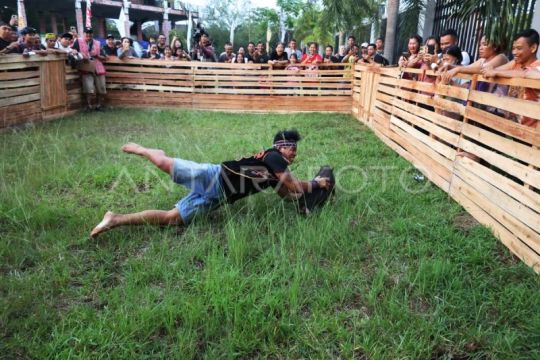 Lomba tangkap babi PGD Kalbar 2026