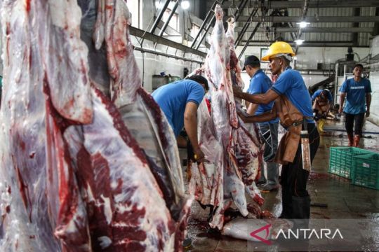Pemotongan hewan kurban di RPH Palangka Raya
