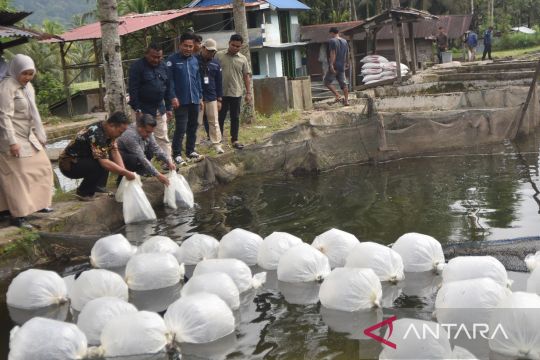 KKP pastikan tambak budidaya beroperasional kembali pascabencana Sumbar