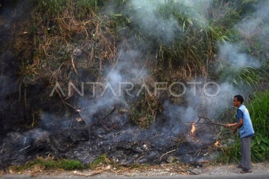 Warga padamkan potensi kebakaran lahan di Tanah Datar
