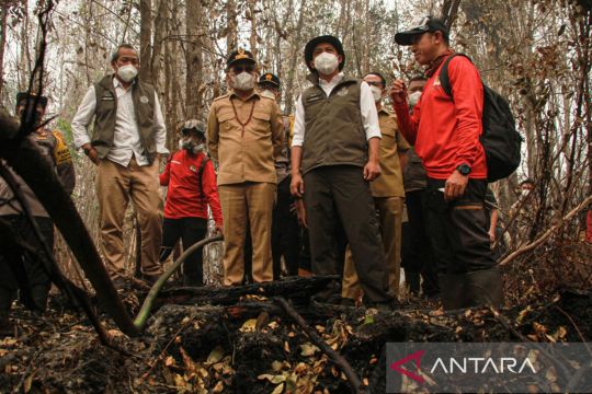 Karhutla TN Sebangau, Menhut kerahkan lima ekskavator dan bangun 30 sumur bor