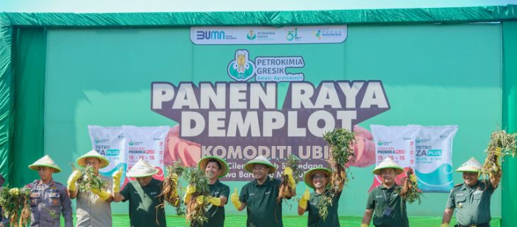 Petrokimia Gresik kembangkan pupuk untuk produktivitas ubi cilembu