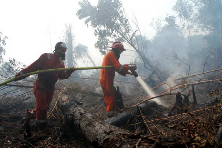 Minister reviews forest fires during Eid holidays