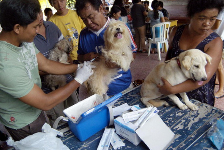 Bali to conduct anti-rabies vaccination drive
