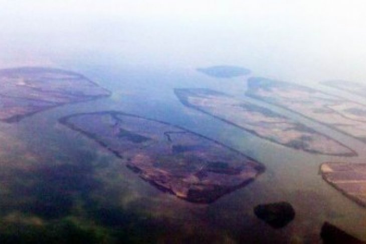 Kerusakan Hutan Mangrove