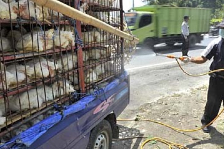 PENYEMPROTAN KENDARAAN PEMBAWA UNGGAS