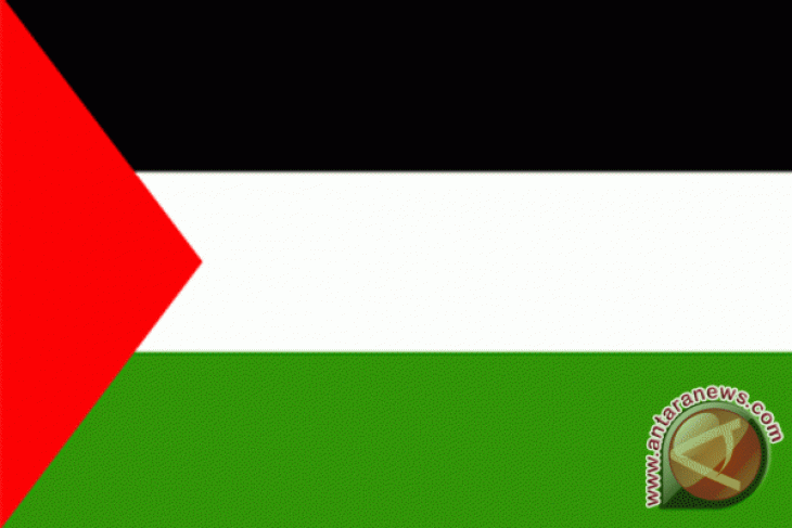 77 mass organizations stage rally to show solidarity with Palestine