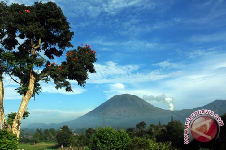 Mt Lokon showing increased activity again