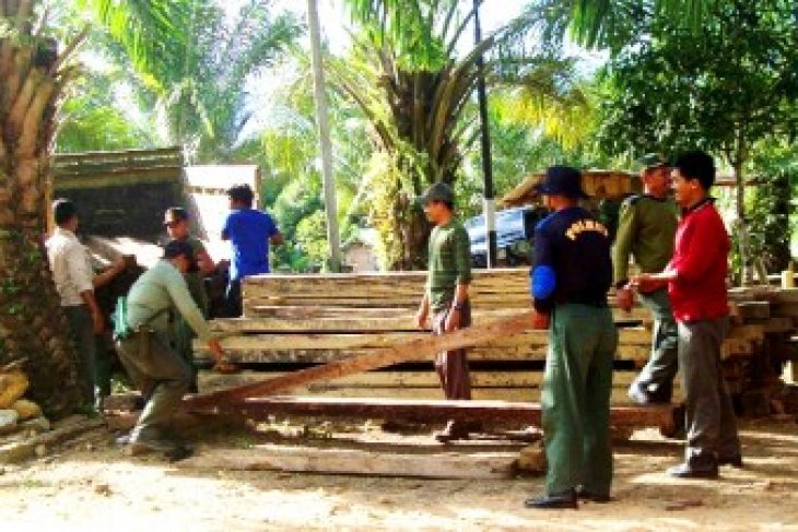Kayu Illegal Logging