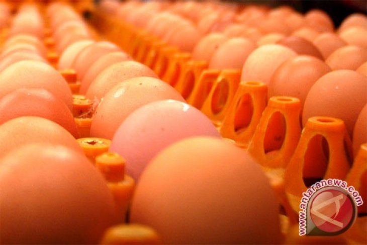 RI govt to double people`s chicken, egg consumption