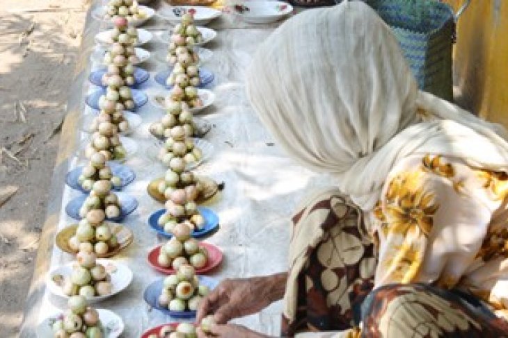 BUAH KALANGKALA