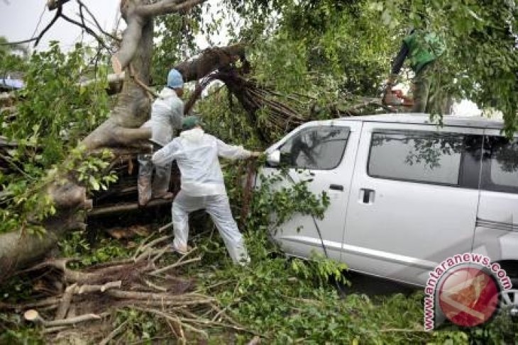 Pemkot Berikan Santunan pada Korban Tertimpa Pohon