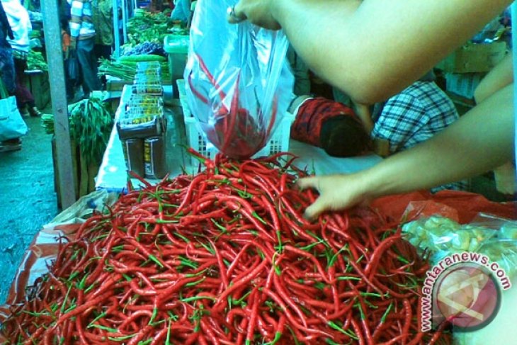 Jelang Ramadhan, harga cabai di Bengkulu Rp45 ribu per kilogram