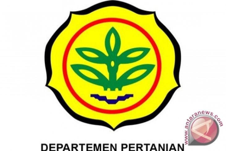 Mentan Minta Kembangkan Potensi Beras Organik