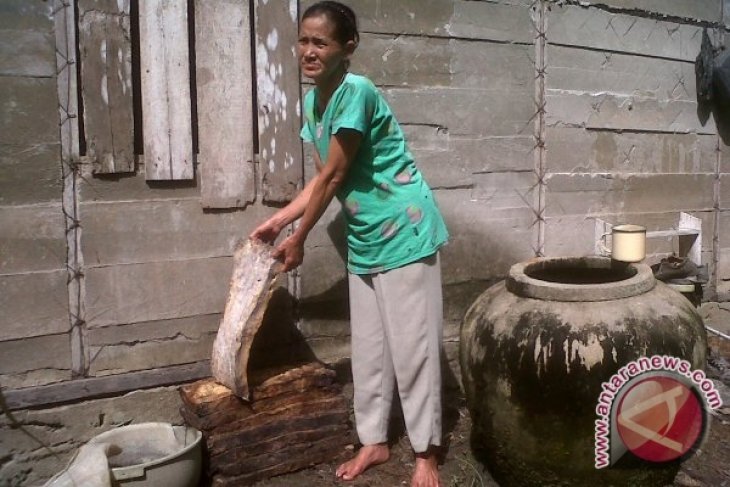Harga Karet Terus Turun