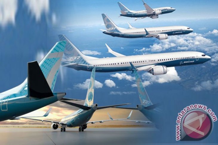 Operators told to check airworthiness of Boeing 737-8 Max aircraft