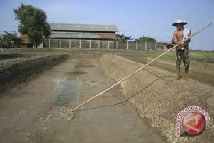 Pemkot Imbau Masyarakat Teliti Saat Beli Garam