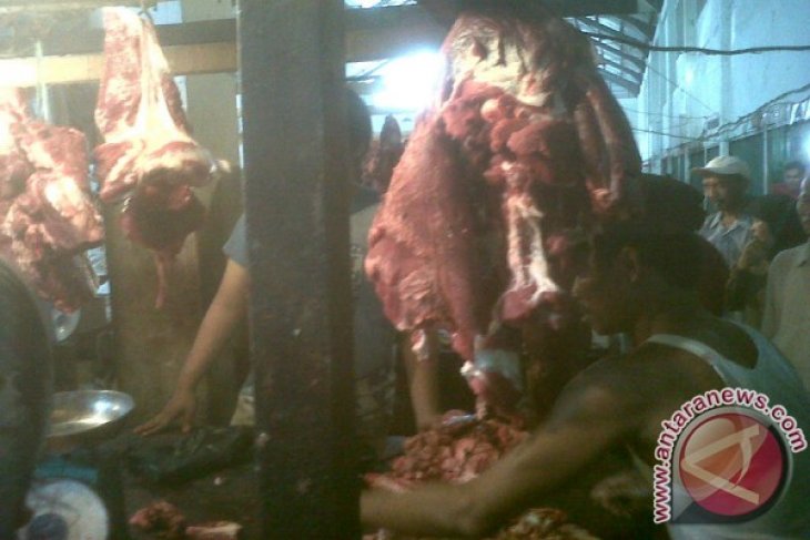  Daging Sapi Potong di Pontianak