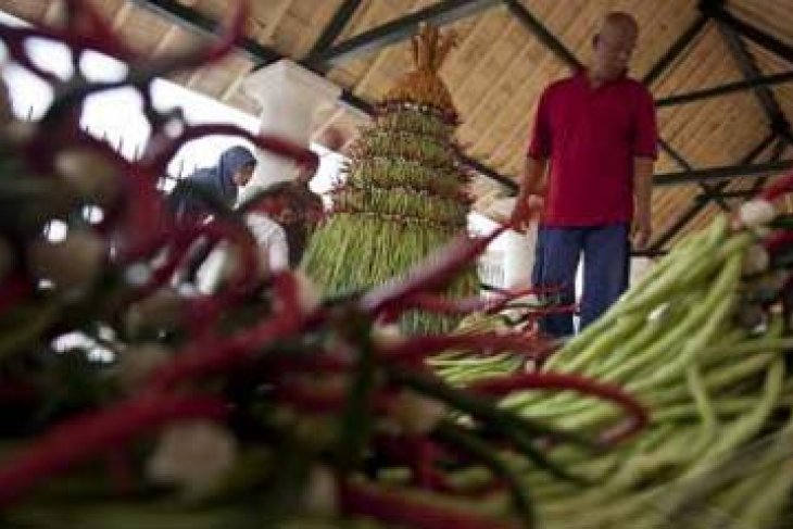 PEMBUATAN GUNUNGAN SYAWAL