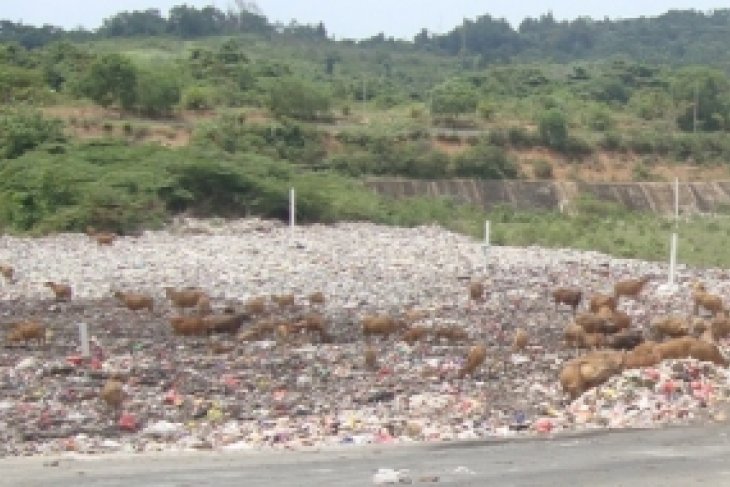 Makan limbah sampah