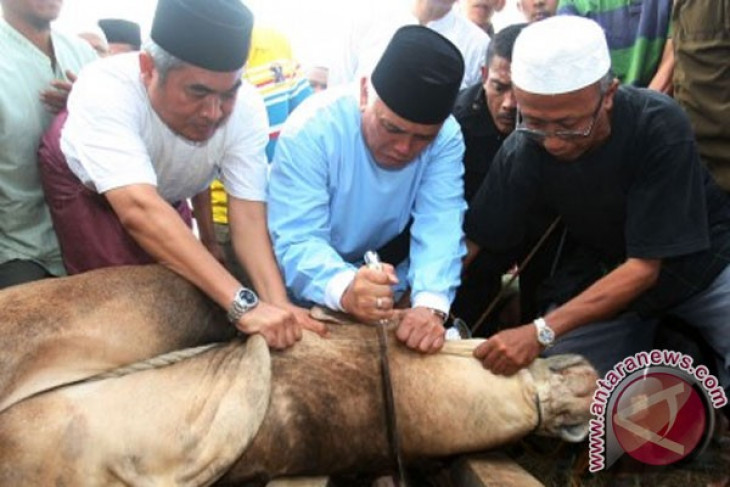 Sembelih Hewan Qurban - ANTARA News