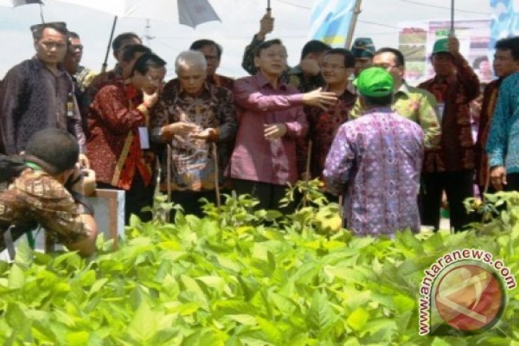 Hari Pangan Sedunia di Palangka Raya