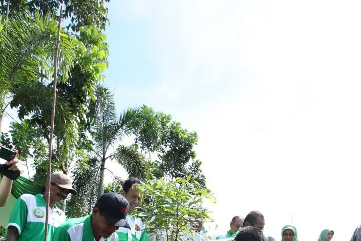 Pemkot Pontianak Tanam 300 Bibit Pohon
