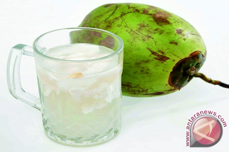 Penjualan Kelapa Muda Di Gorontalo Meningkat Antara News Gorontalo