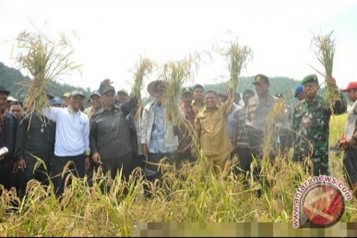 BPAN: Dunia Terancam Kekurangan Pangan
