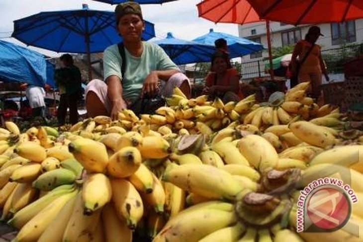 Rajin makan pisang, kurangi keripik cegah stroke