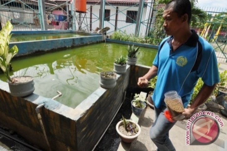 DKP Babel Latih Petani Membuat Pakan Ikan