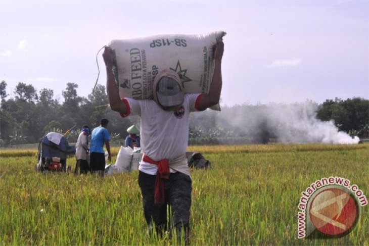 Buruh Panggul