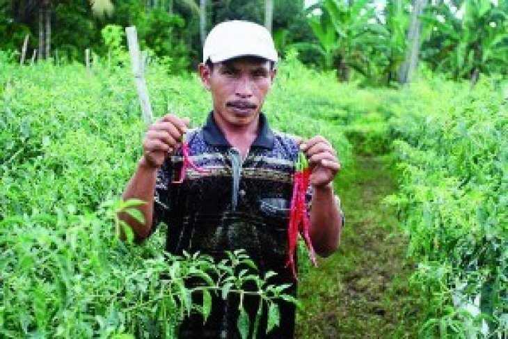 Bupati: Pengadaan Barang Dan Jasa Harus Transparan