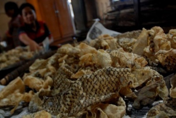 KRUPUK KULIT KAKAP